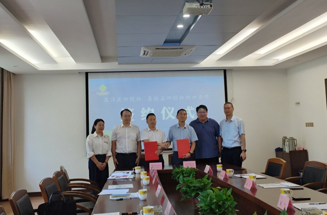 桑植农产品预上南京市高淳区消费帮扶平台