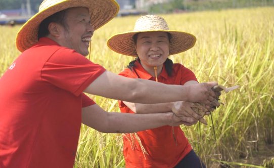 桑植农商银行举办第五届秋收文化节暨成立七周年活动