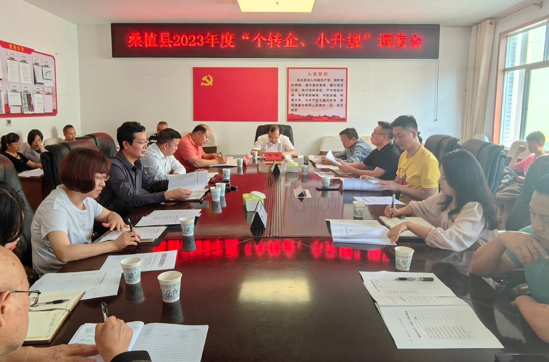 桑植县加快促进“个转企”“小升规”工作 持续优化营商环境