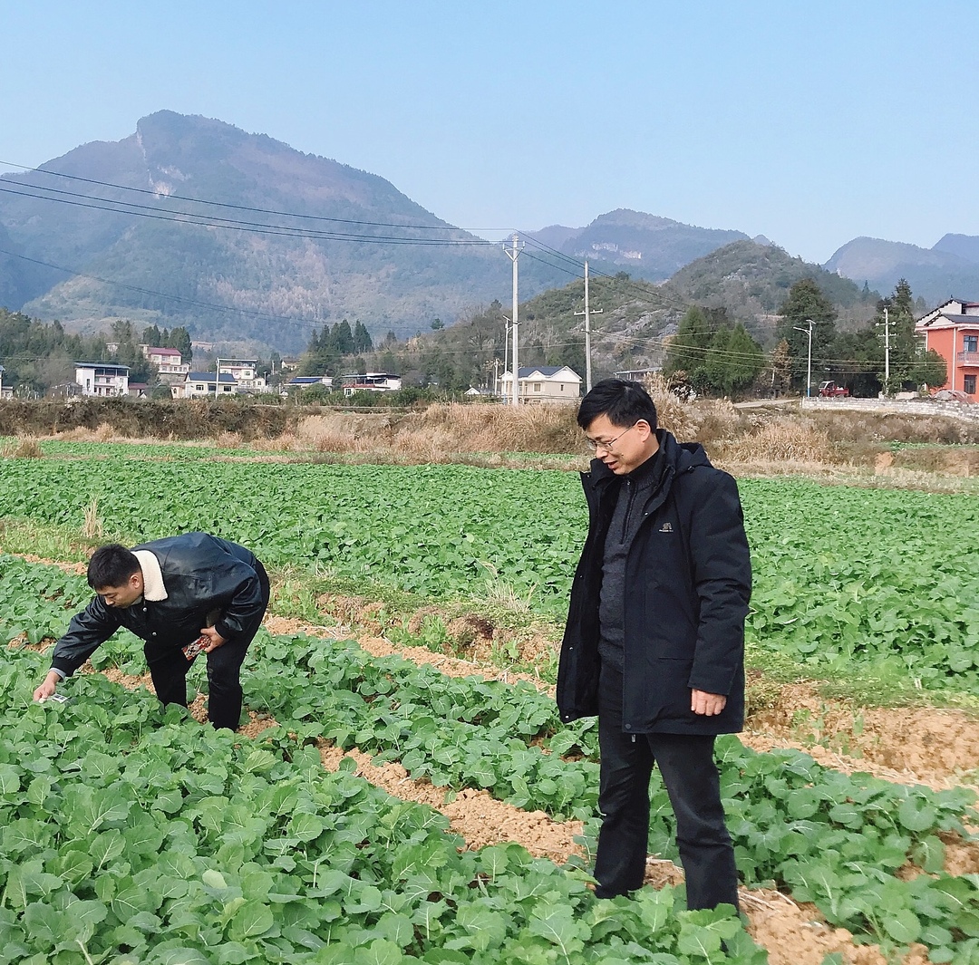 湖南农业大学专家到桑植县开展秸秆重点县项目技术指导