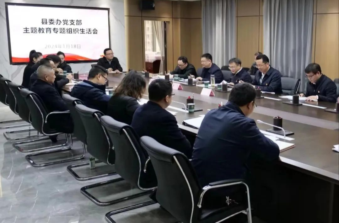 曹飞以普通党员身份参加县委办党支部主题教育专题组织生活会