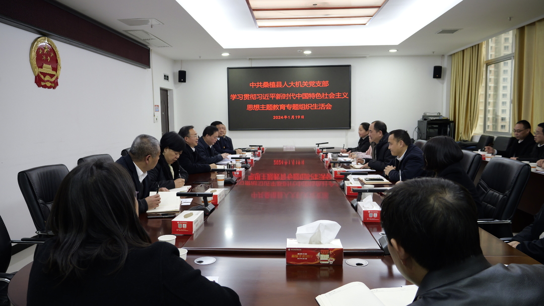 中共桑植县人大机关党支部主题教育专题组织生活会召开