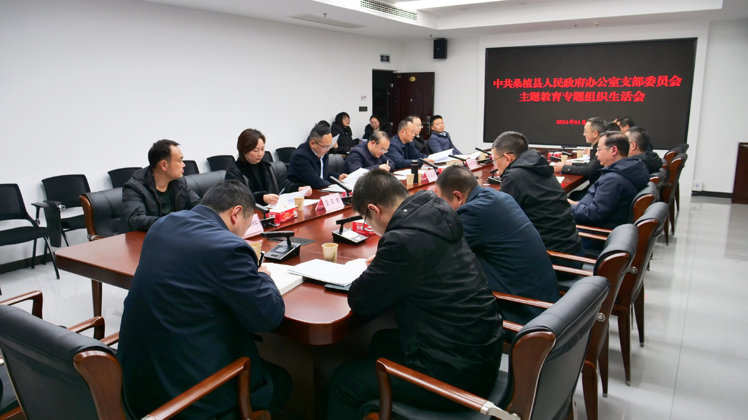 中共桑植县人民政府办公室支部委员会主题教育专题组织生活会召开
