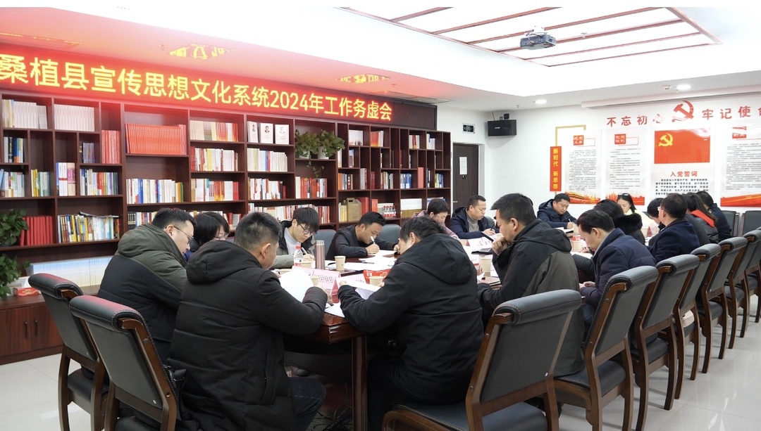 桑植县召开宣传思想文化系统2024年工作务虚会