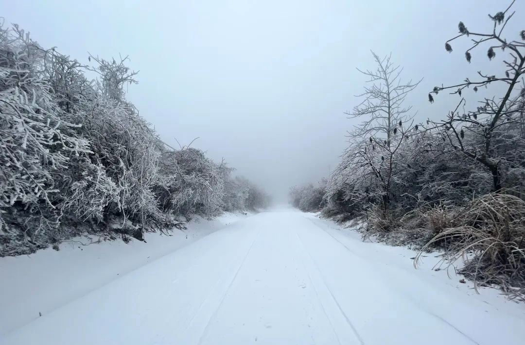 全县总动员，除雪清障保安全~