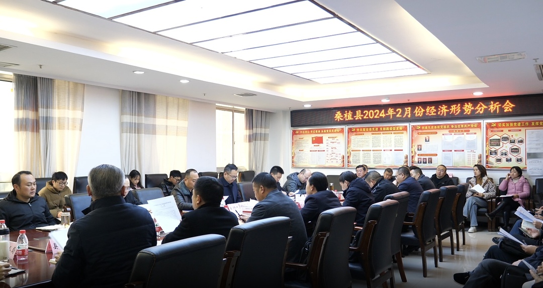 桑植县2024年2月份经济形势分析会召开