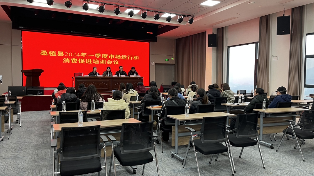 桑植县开展一季度市场运行和消费促进培训工作