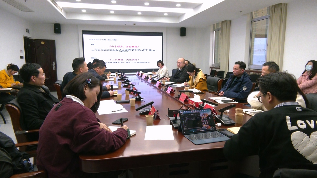 桑植县调度部署招商引资工作