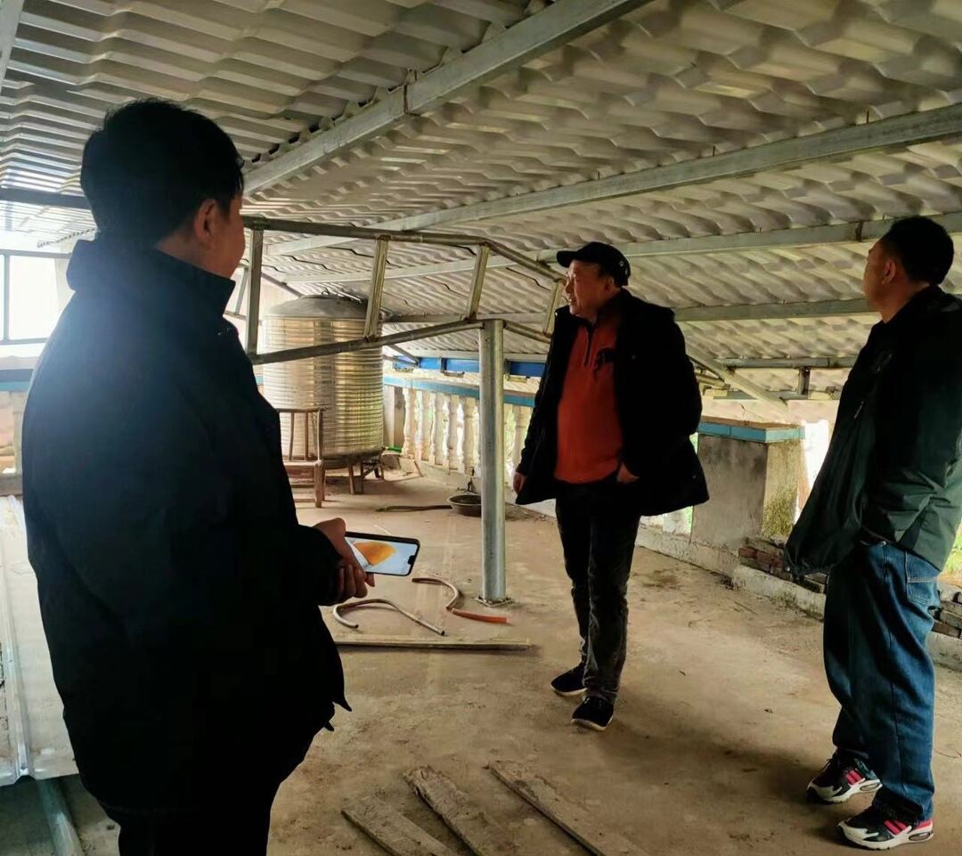 【控违治违】空壳树乡：屋顶棚整治显成效  控违治违保民生