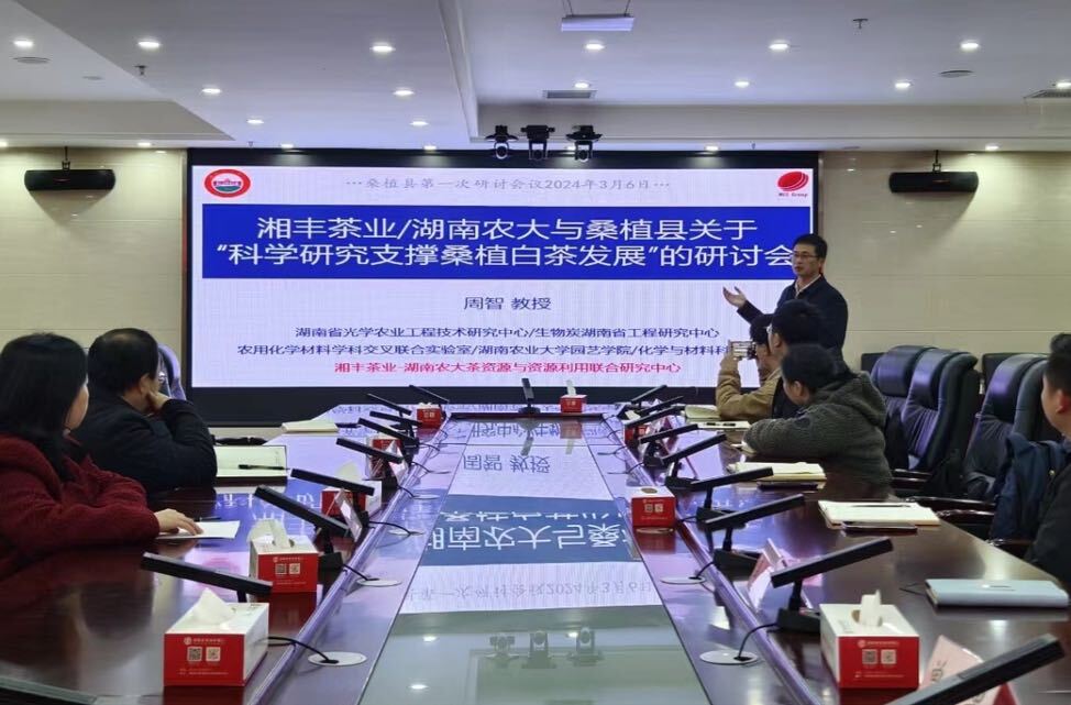 湖南农业大学科研团队来到我县开展桑植白茶产业调研