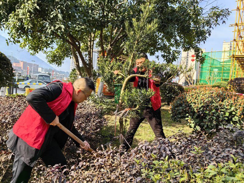 植树增添新绿 营造美好环境