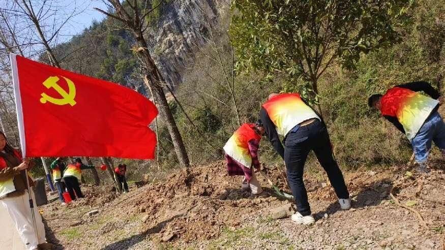 竹叶坪乡：履“植”生态环保建设
