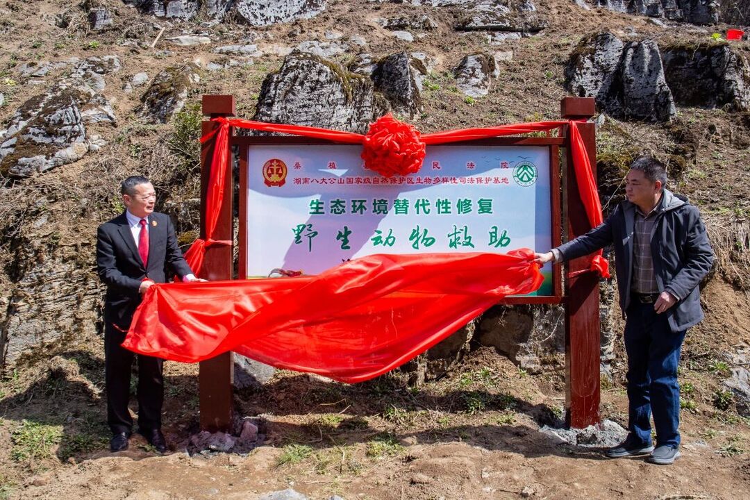 桑植县首个“生物多样性司法保护基地”落成