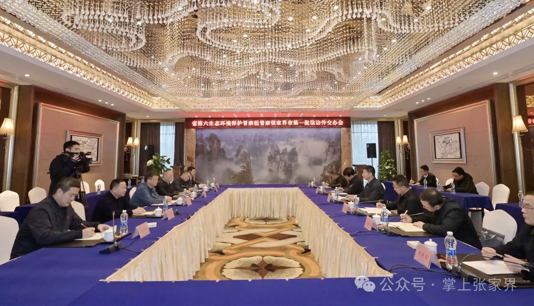 ​省第六生态环境保护督察组向张家界市交办第一批信访件