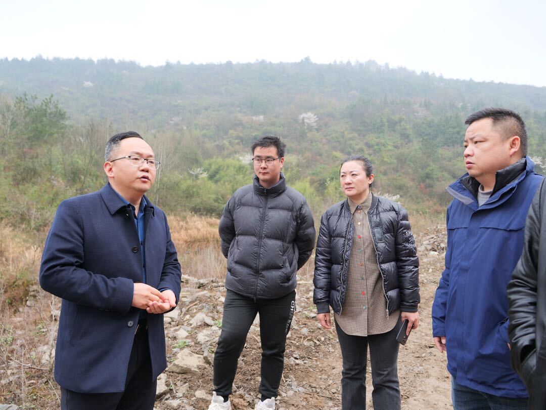杨昌顺现场督导省第六生态环境保护督察组交办问题整改工作