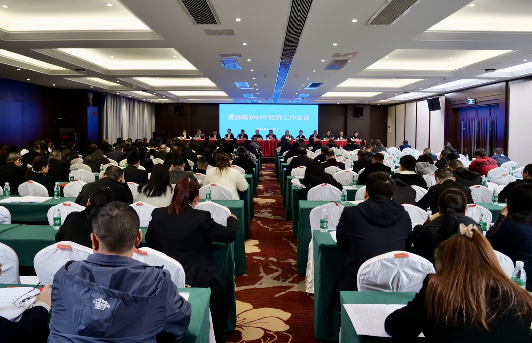 澧源镇：全面贯彻新发展理念  以一域之光为全县添彩