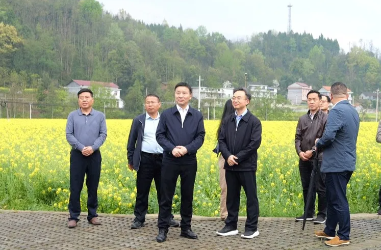 慈利县人大来桑调研全过程人民民主工作