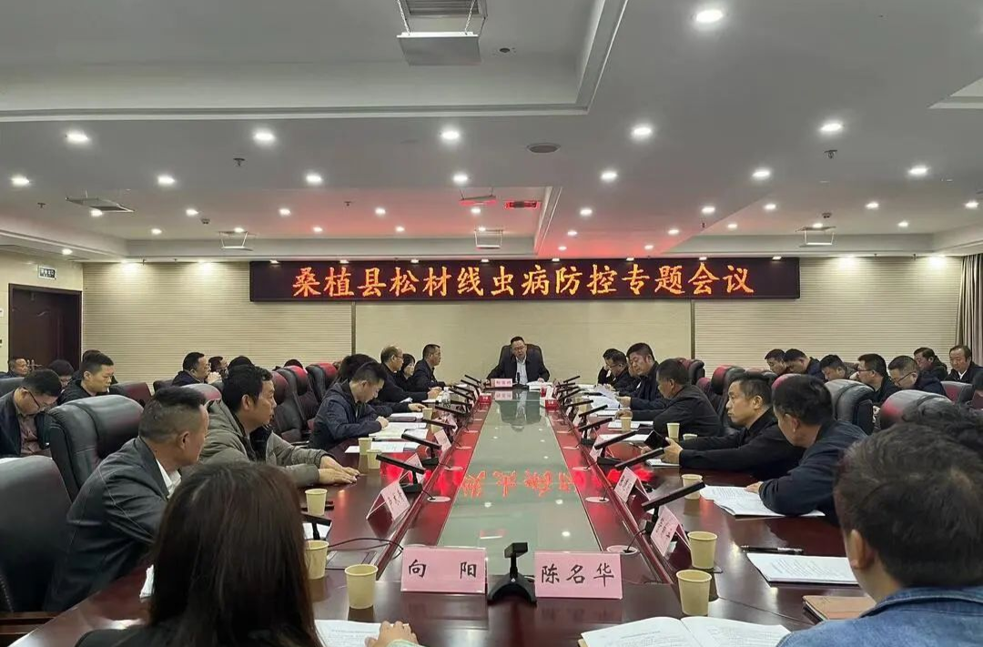 桑植县：科学防治措施和严格检疫执法  持续巩固我县松材线虫病“零发现”