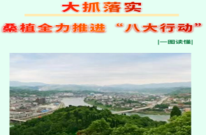 一图读懂|大抓落实 桑植全力推进“八大行动”