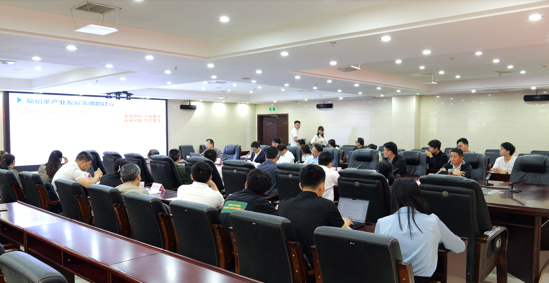 全力推进“八大行动”｜智汇帅乡•桑植白茶专家技术报告交流会召开