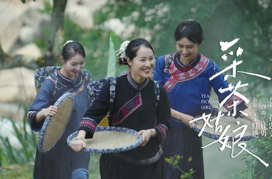《采茶姑娘》MV即将诗意发布，带你邂逅美丽与茶香
