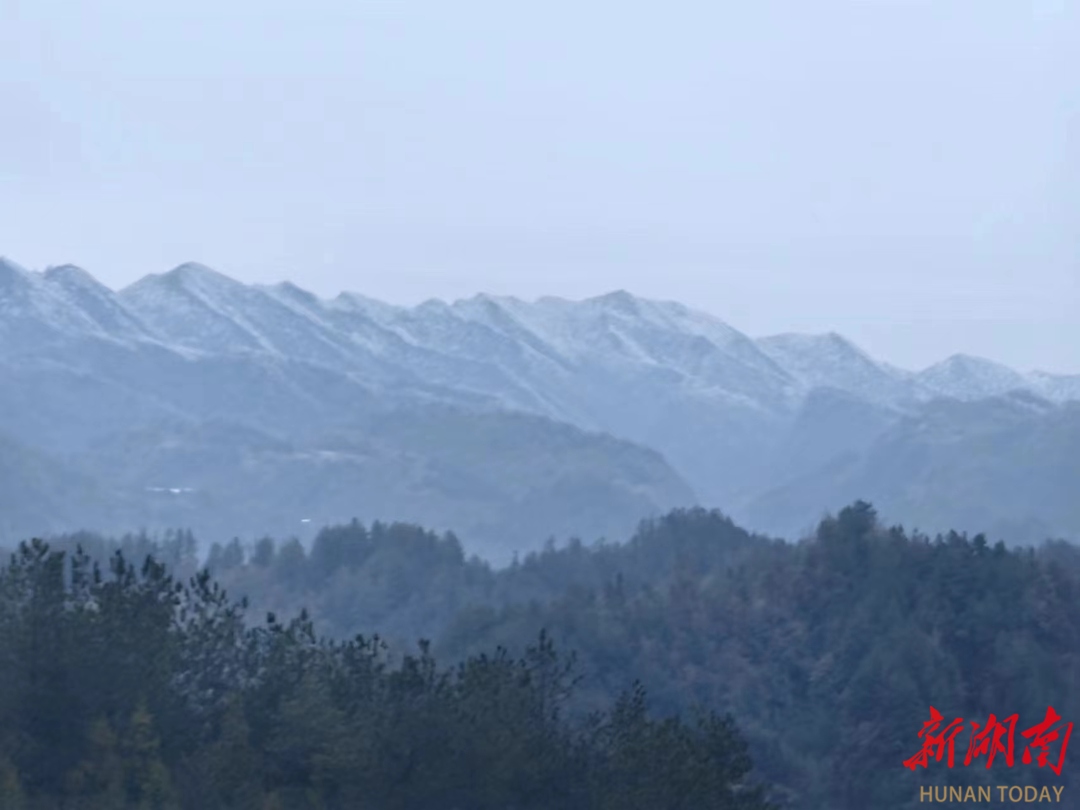美文欣赏丨下雪了，邀你来桑植“撒野”