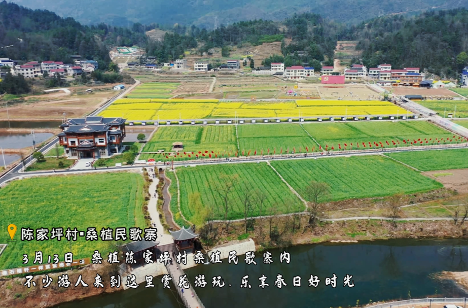 春日限定！来一场乐享春日游，邂逅春日浪漫！