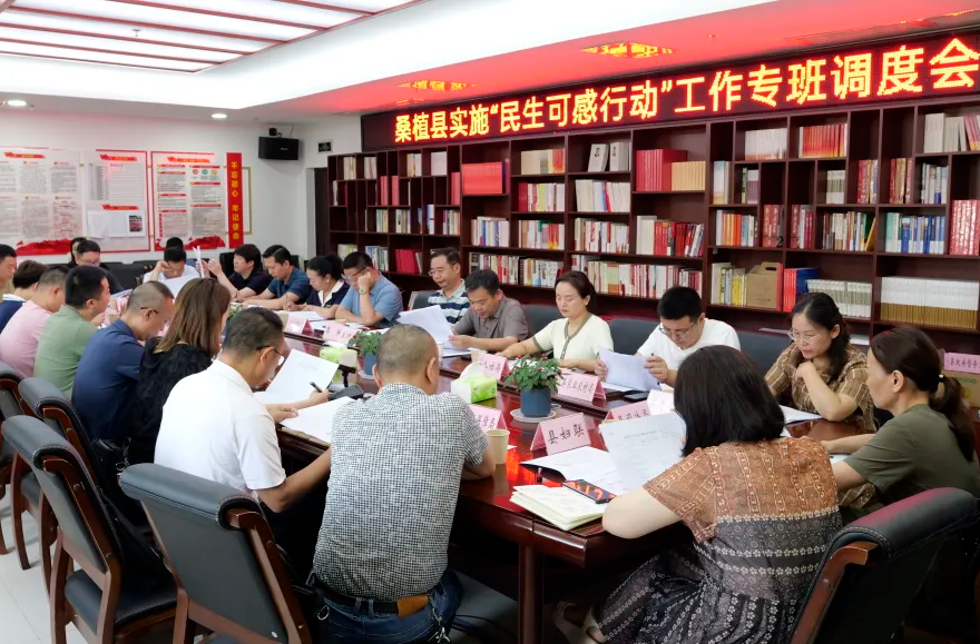 全力推进“八大行动”｜桑植县实施“民生可感行动”工作专班调度会召开