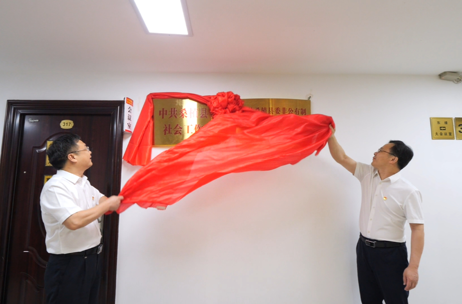 新起点 中共桑植县委社会工作部揭牌成立