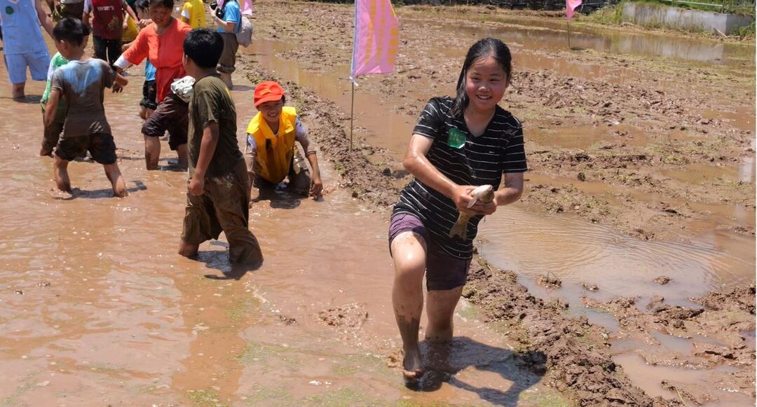 第二届张家界旅发会丨插秧拔河捉鱼 今天的东旺坪村好热闹！