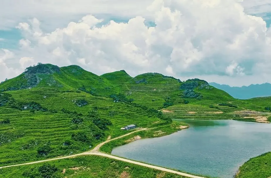 【第二届张家界旅发会】夏天，去桑植的“阿勒泰”看美丽的风景