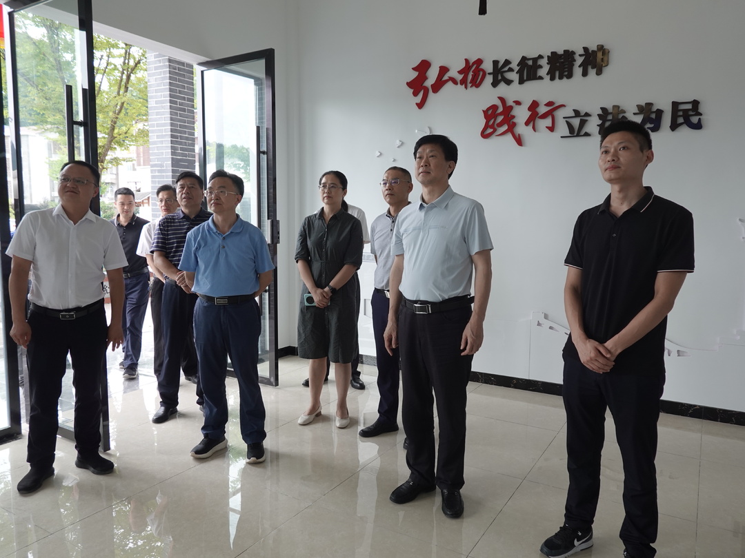 省人大常委会调研组来桑调研
