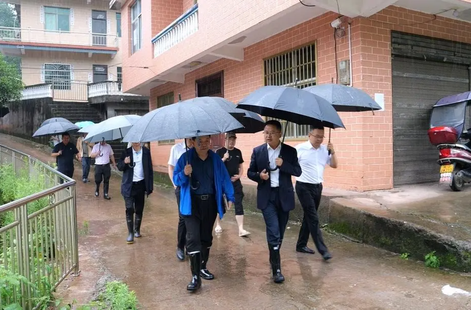 防汛进行时 | 自然资源部工作组来桑指导地质灾害防御工作