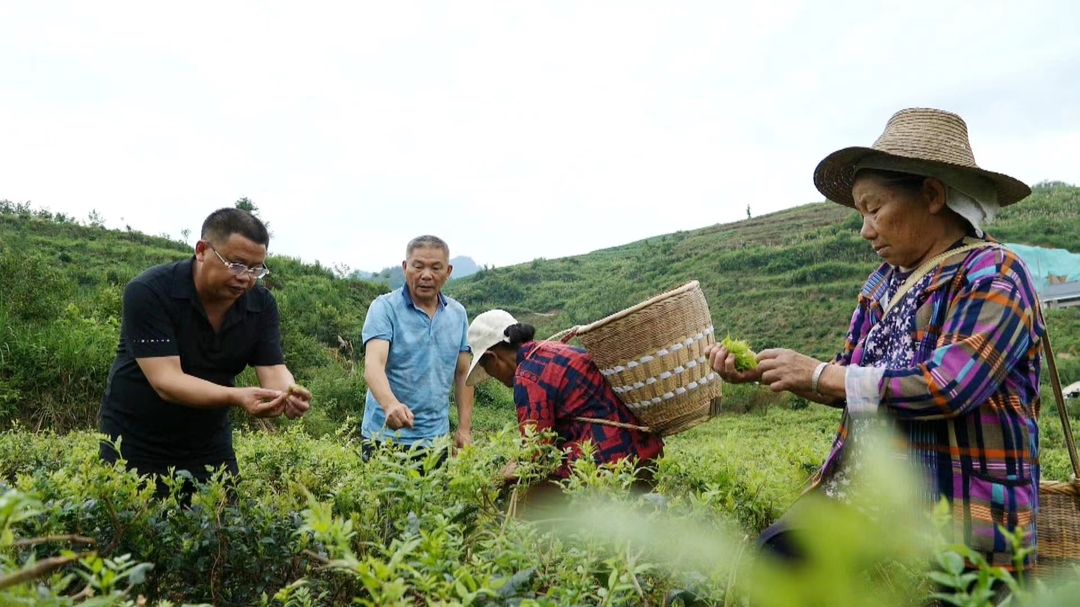 張和平：盡己可能傳遞愛 助殘增收暖人心