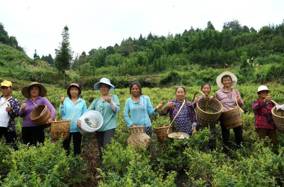 张和平：尽己可能传递爱 助残增收暖人心