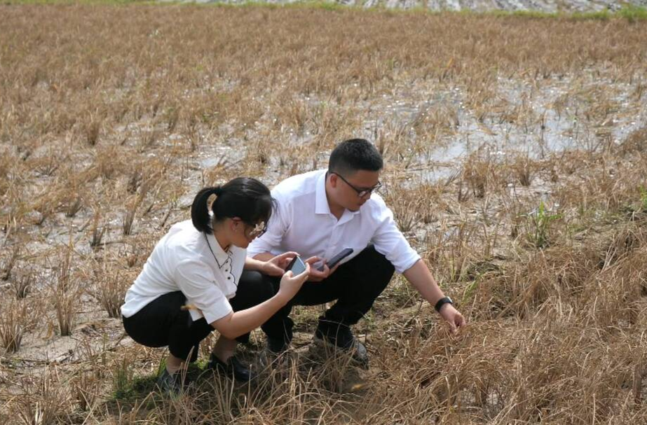 平安財(cái)產(chǎn)保險(xiǎn)桑植支公司開啟理賠“綠色通道” 為農(nóng)戶撐起“保護(hù)傘”