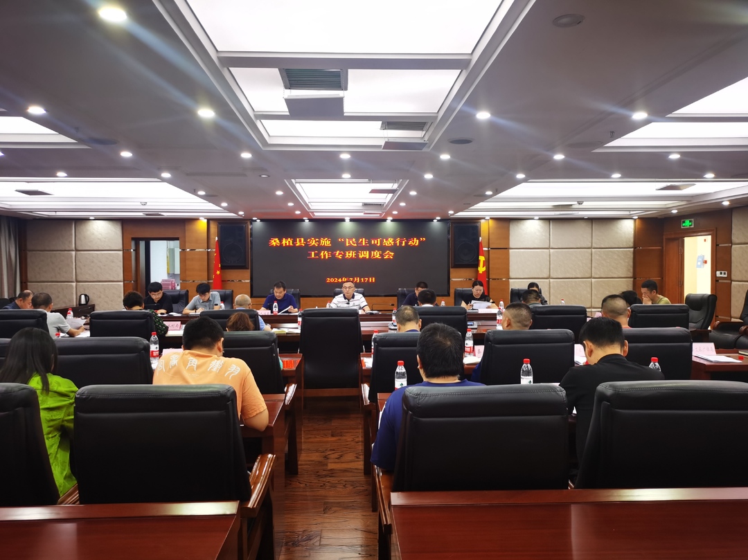 全力推进“八大行动”｜桑植县“民生可感行动”调度会召开