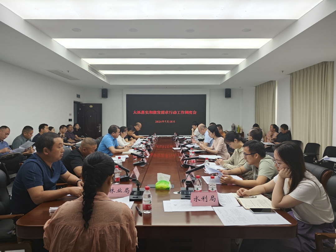 全力推进“八大行动”｜桑植县大抓落实和激发需求行动工作调度会召开