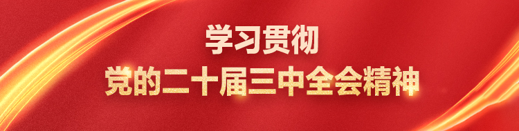 学习贯彻党的二十届三中全会精神