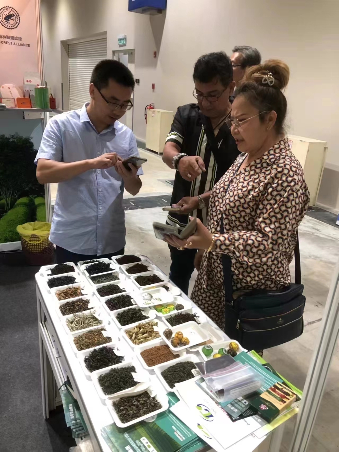 “桑植白茶”亮相马来西亚