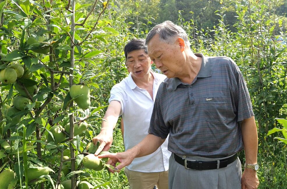 市老科協(xié)來桑調(diào)研科技示范基地建設(shè)工作