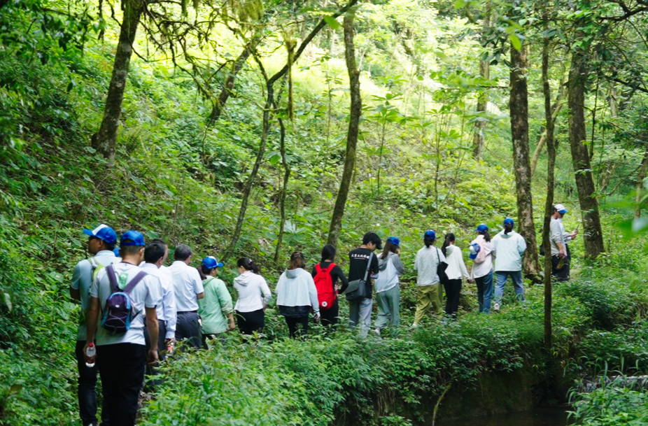凉快！炎炎夏日去趟天平山吧