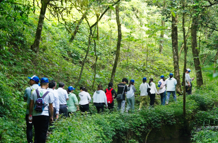 涼快！炎炎夏日去趟天平山吧