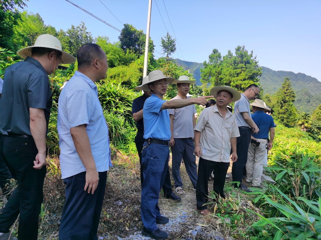 桑植县人大常委会调研村级集体经济发展情况