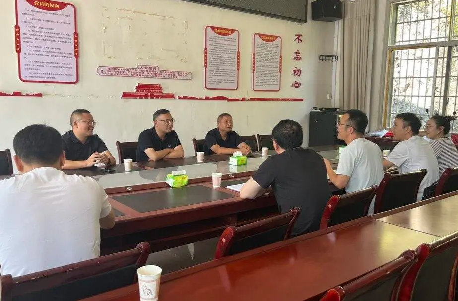 陈星调研指导软弱涣散村党组织整顿工作