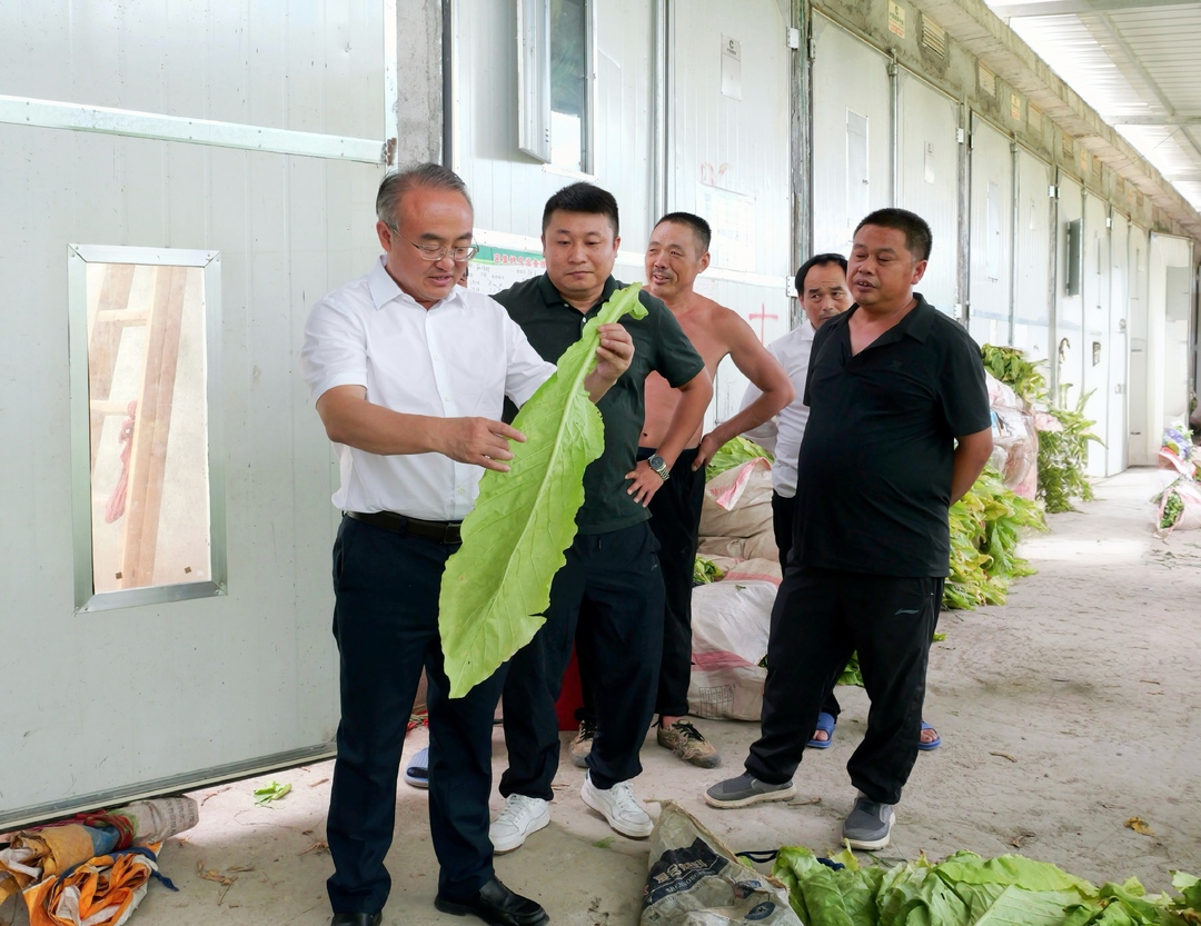 梁高武调研烟叶生产及基础设施项目建设