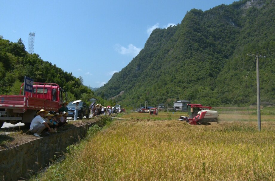 以赛促学 桑植县第二届水稻机收减损农机技能比赛举行