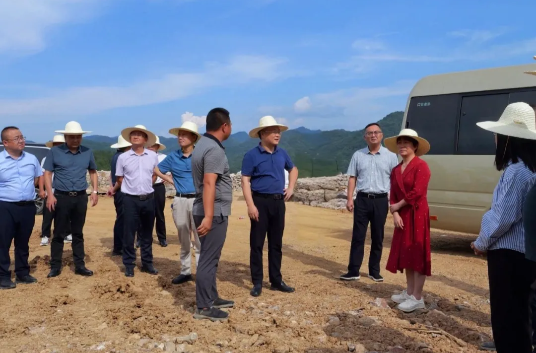喜迎旅发会丨曹飞调研第二届张家界旅发会重点项目建设情况