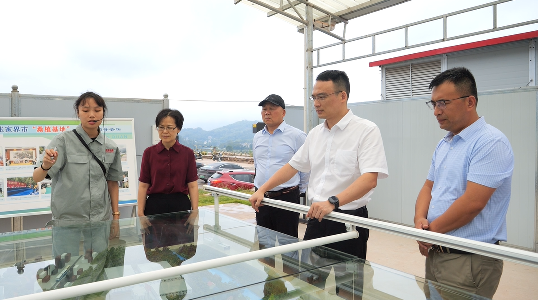 万东到桑植县开展“两重”“两新”送解优专项行动