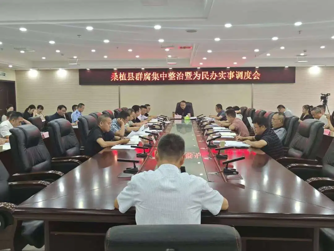 桑植县群腐集中整治暨为民办实事调度会议召开